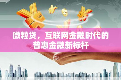 错那微粒贷，互联网金融时代的普惠金融新标杆