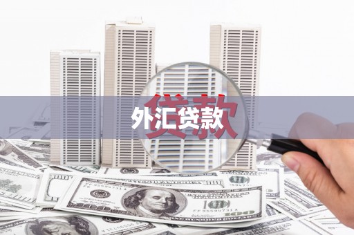 错那外汇贷款