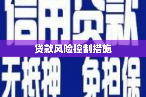 错那贷款风险控制措施
