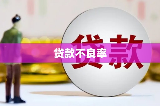错那贷款不良率