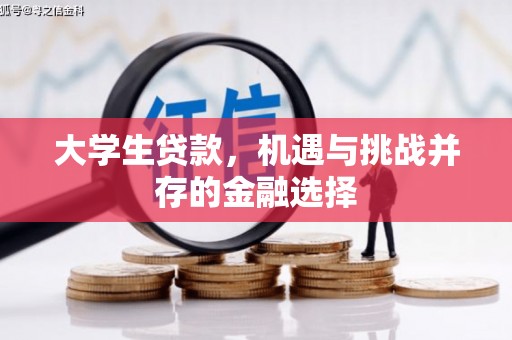 错那大学生贷款，机遇与挑战并存的金融选择