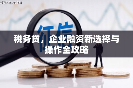 错那税务贷，企业融资新选择与操作全攻略