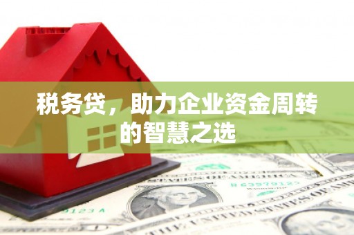错那税务贷，助力企业资金周转的智慧之选