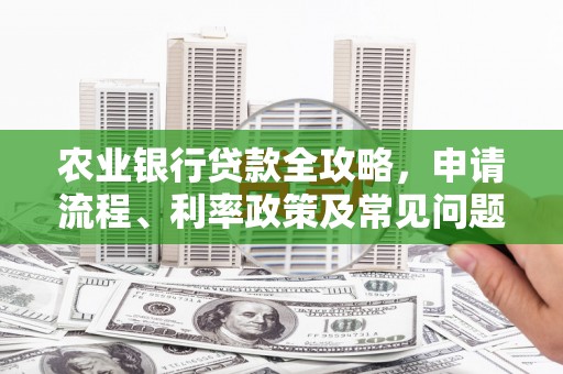 错那农业银行贷款全攻略，申请流程、利率政策及常见问题解析