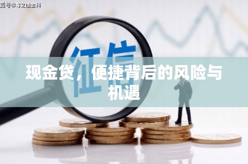 错那现金贷，便捷背后的风险与机遇