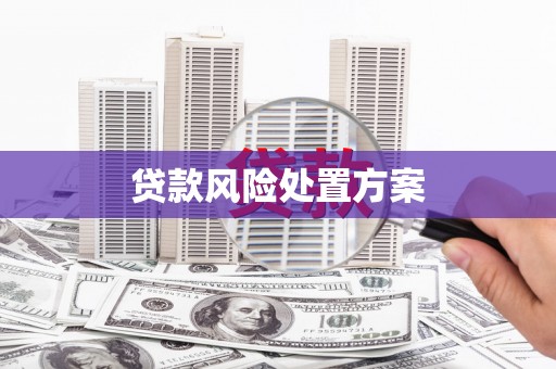 错那贷款风险处置方案