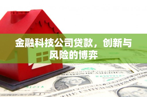 错那金融科技公司贷款，创新与风险的博弈