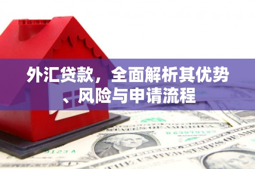 错那外汇贷款，全面解析其优势、风险与申请流程