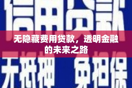 错那无隐藏费用贷款，透明金融的未来之路
