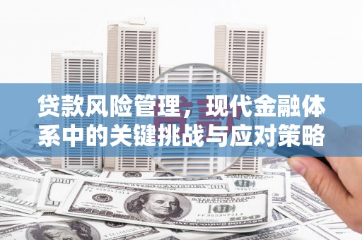 错那贷款风险管理，现代金融体系中的关键挑战与应对策略