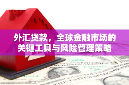 错那外汇贷款，全球金融市场的关键工具与风险管理策略