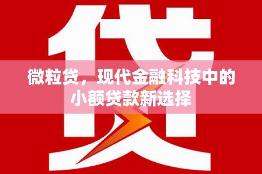 错那微粒贷，现代金融科技中的小额贷款新选择