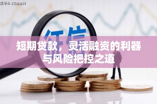 错那短期贷款，灵活融资的利器与风险把控之道