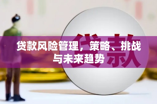 错那贷款风险管理，策略、挑战与未来趋势