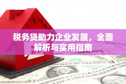 错那税务贷助力企业发展，全面解析与实用指南