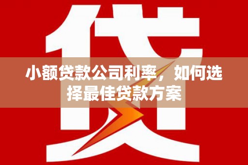 错那小额贷款公司利率，如何选择最佳贷款方案