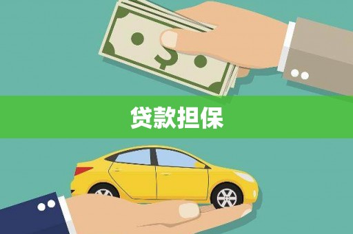错那贷款担保