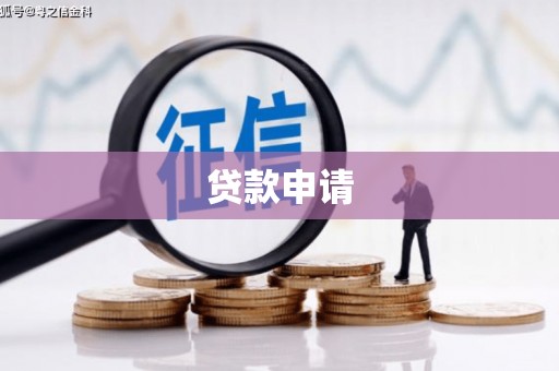 错那贷款申请