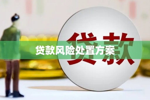 错那贷款风险处置方案