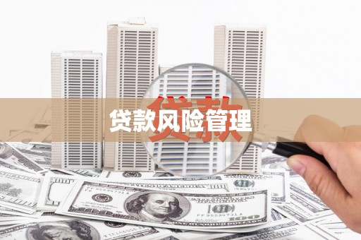 错那贷款风险管理