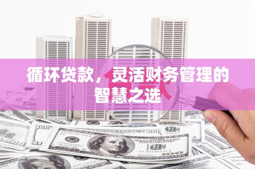 错那循环贷款，灵活财务管理的智慧之选