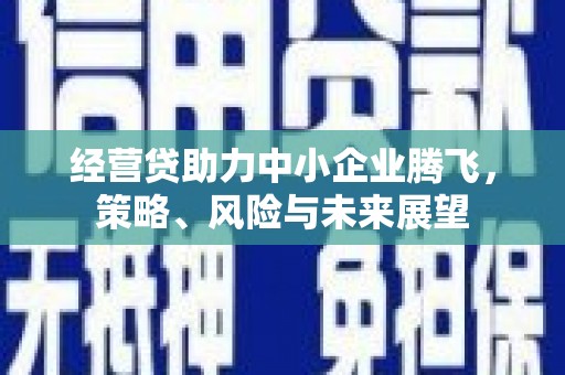 错那经营贷助力中小企业腾飞，策略、风险与未来展望