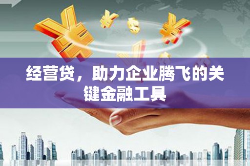 错那经营贷，助力企业腾飞的关键金融工具