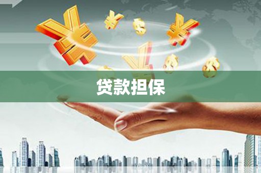 错那贷款担保