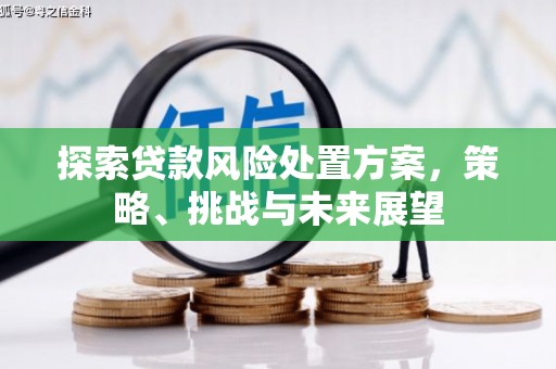 错那探索贷款风险处置方案，策略、挑战与未来展望