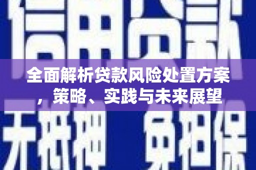 错那全面解析贷款风险处置方案，策略、实践与未来展望