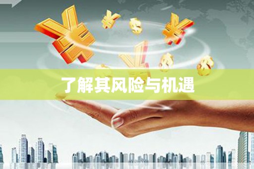 错那了解其风险与机遇
