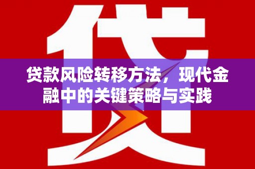 错那贷款风险转移方法，现代金融中的关键策略与实践