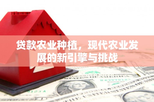 错那贷款农业种植，现代农业发展的新引擎与挑战