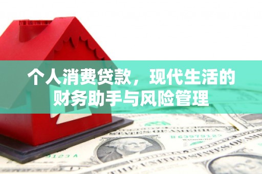 错那个人消费贷款，现代生活的财务助手与风险管理