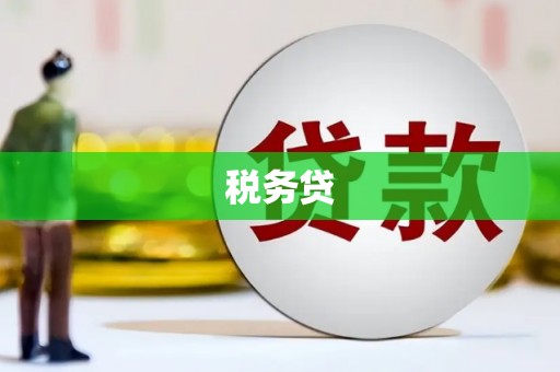 错那税务贷
