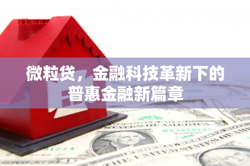 错那微粒贷，金融科技革新下的普惠金融新篇章