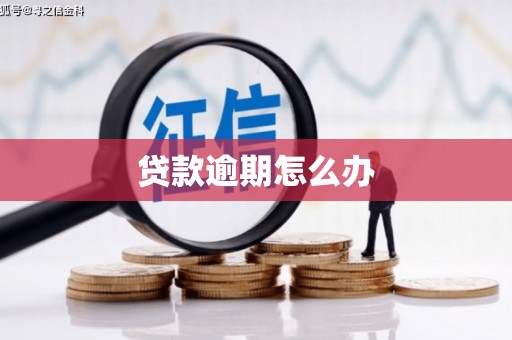 错那贷款逾期怎么办