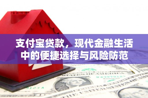 错那支付宝贷款，现代金融生活中的便捷选择与风险防范
