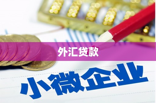 错那外汇贷款
