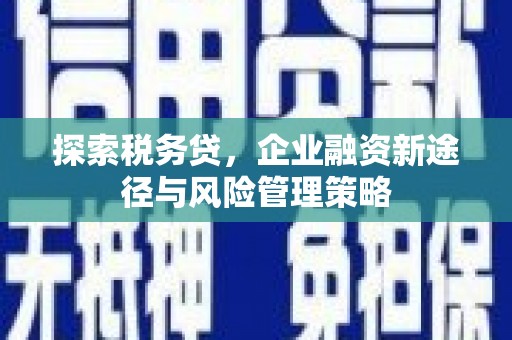错那探索税务贷，企业融资新途径与风险管理策略