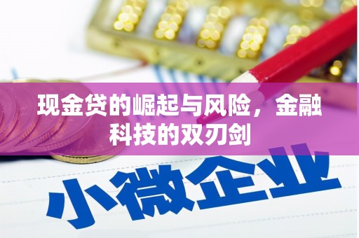错那现金贷的崛起与风险，金融科技的双刃剑