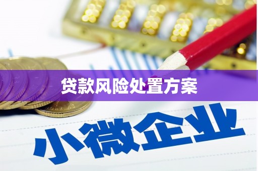 错那贷款风险处置方案
