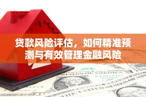 错那贷款风险评估，如何精准预测与有效管理金融风险