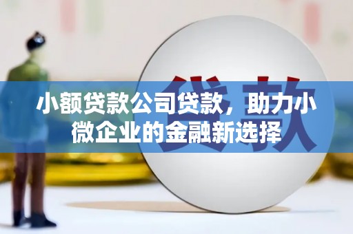错那小额贷款公司贷款，助力小微企业的金融新选择