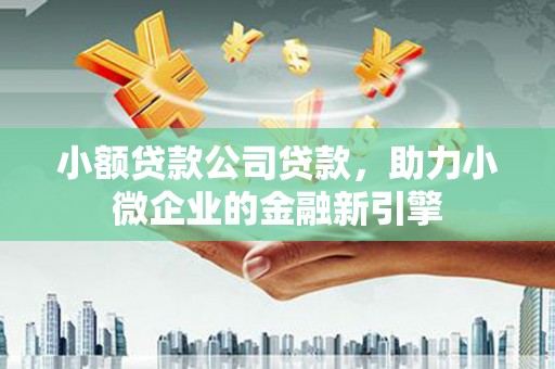 错那小额贷款公司贷款，助力小微企业的金融新引擎