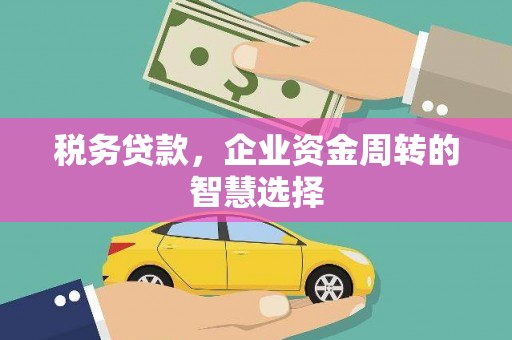 错那税务贷款，企业资金周转的智慧选择