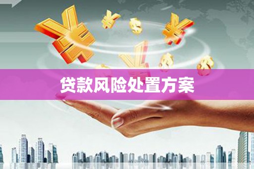 错那贷款风险处置方案