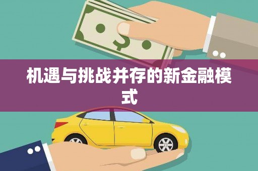 错那机遇与挑战并存的新金融模式