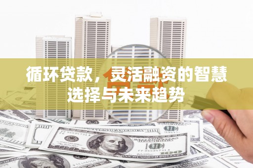 错那循环贷款，灵活融资的智慧选择与未来趋势