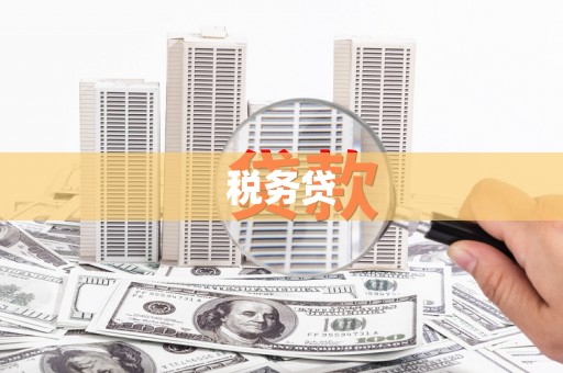 错那税务贷